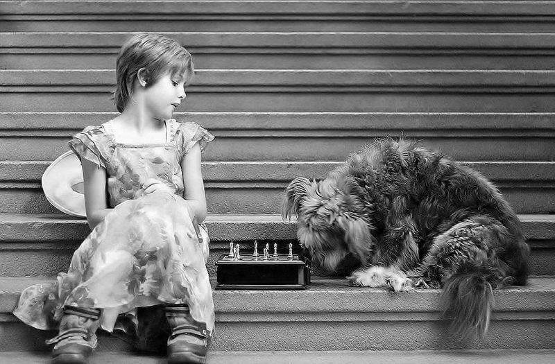 SchachKönig GmbH - Image 5